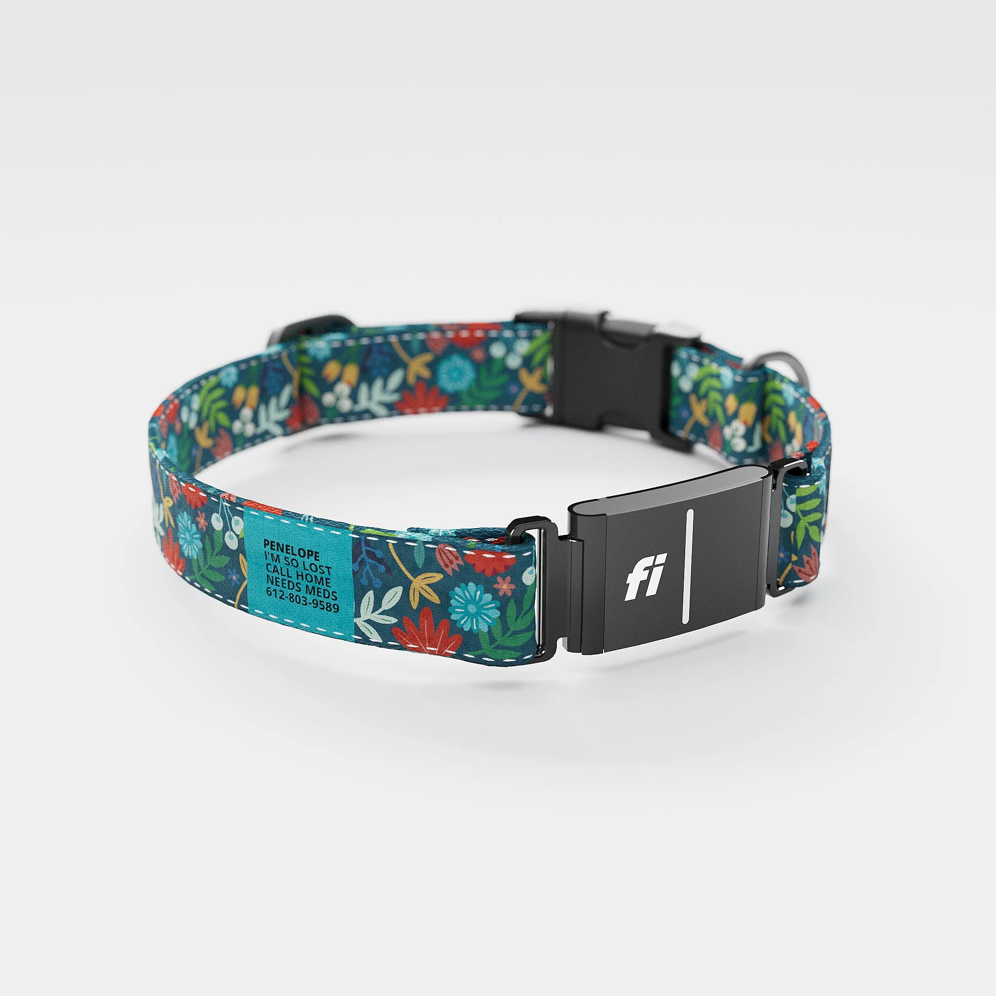 Fi GPS Included Frolic Fall Everyday Collar (6 month subscription)