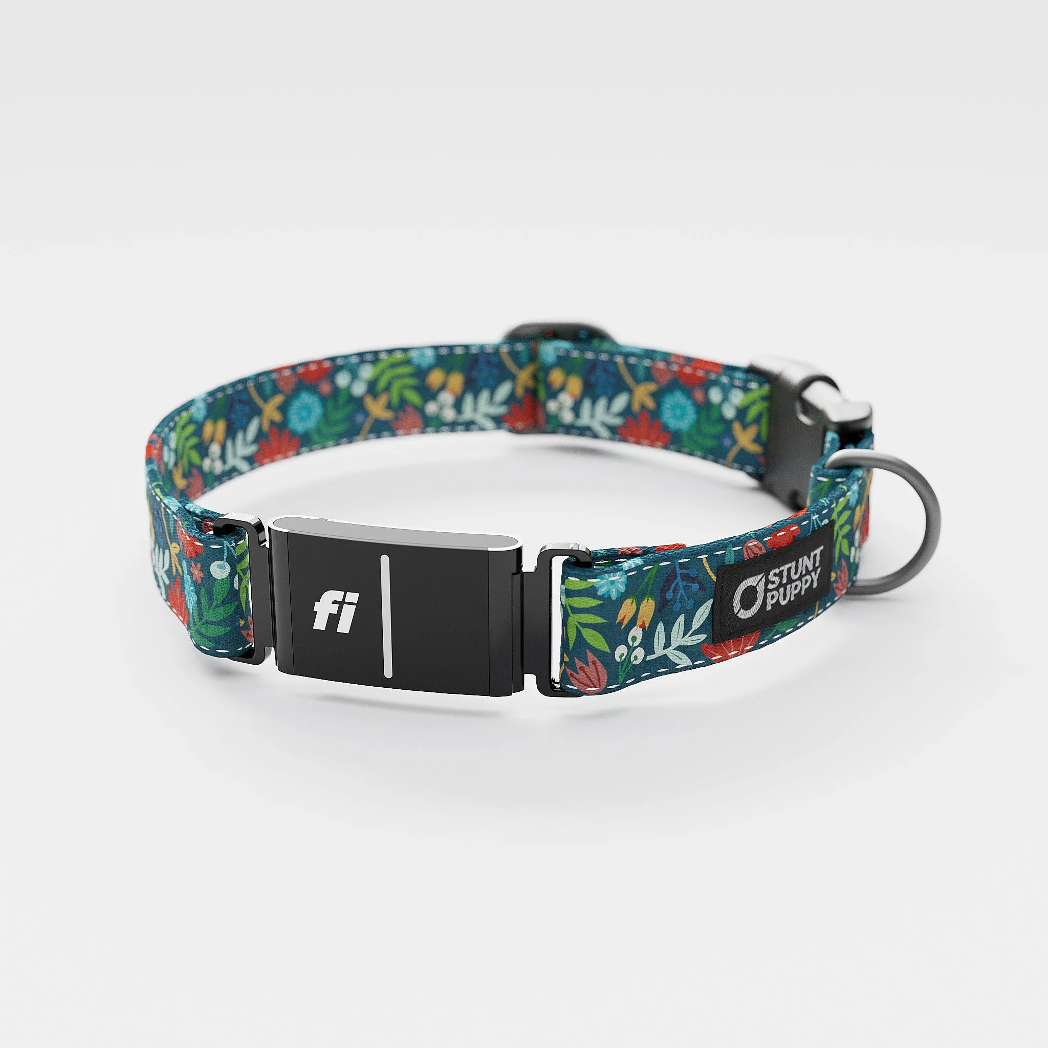 Fi GPS Included Frolic Fall Everyday Collar (6 month subscription)