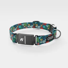 Fi GPS Included Frolic Fall Everyday Collar (6 month subscription)