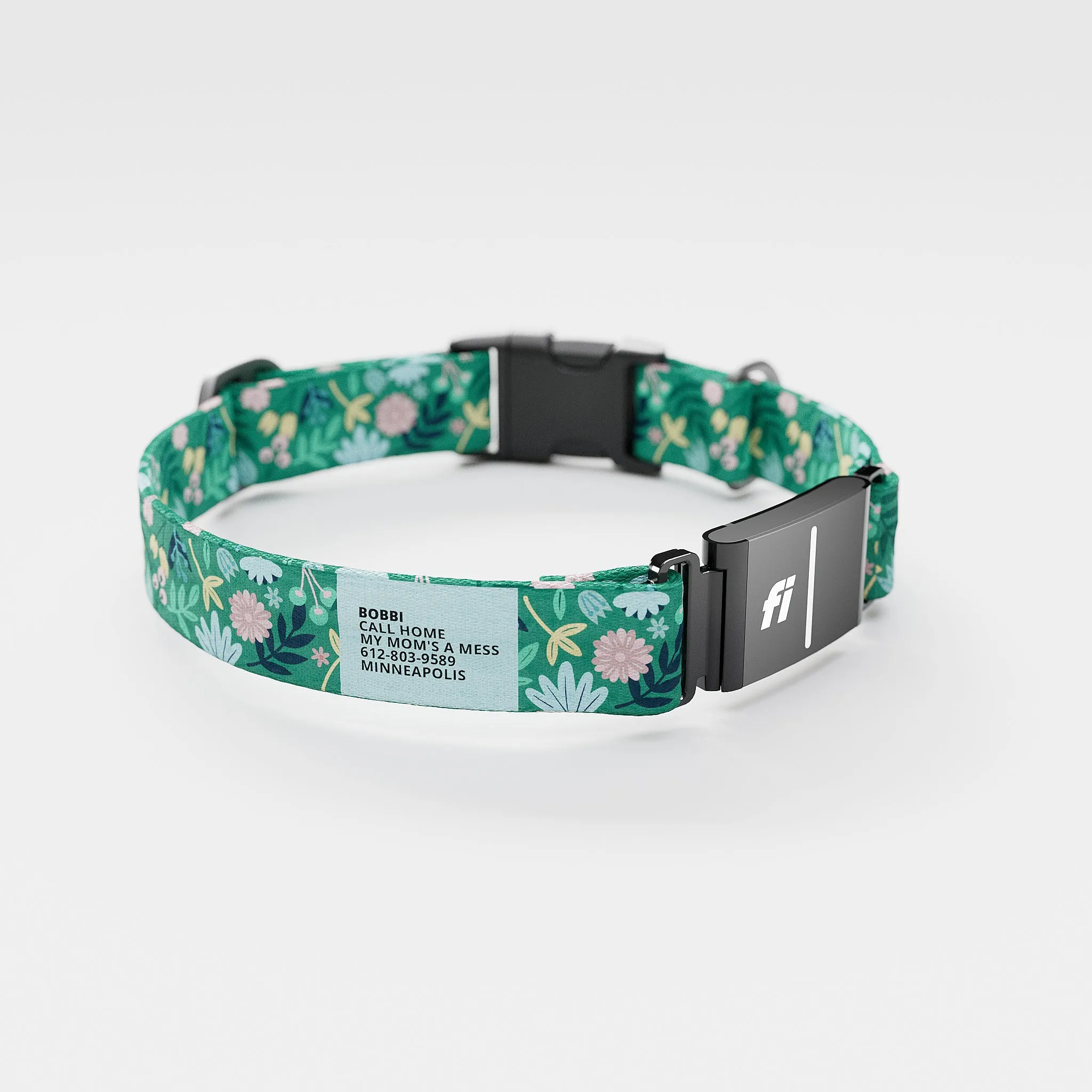 Fi GPS Included Frolic Spring Everyday Collar (6 month subscription)