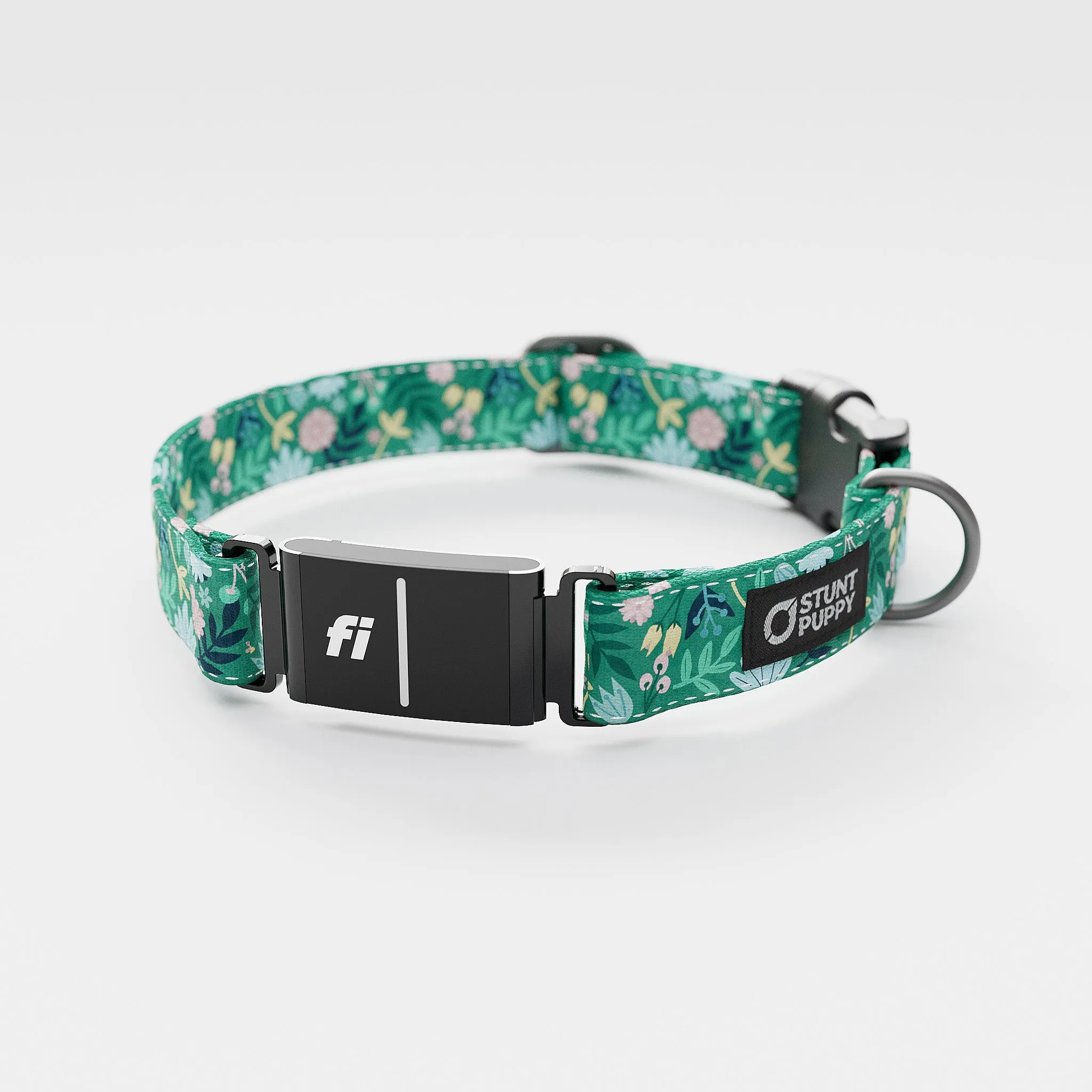 Fi GPS Included Frolic Spring Everyday Collar (6 month subscription)