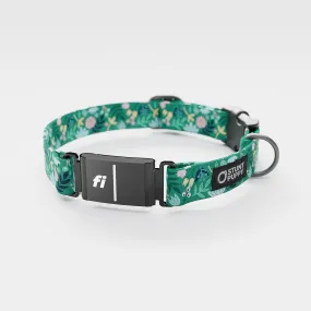 Fi GPS Included Frolic Spring Everyday Collar (6 month subscription)