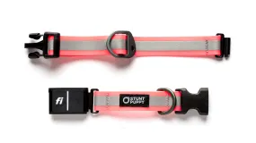 Fi GPS Included Go Dog Glo Pink Dry Collar™ (6 month subscription)