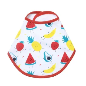 Fruity Cutie- Feeding Bib