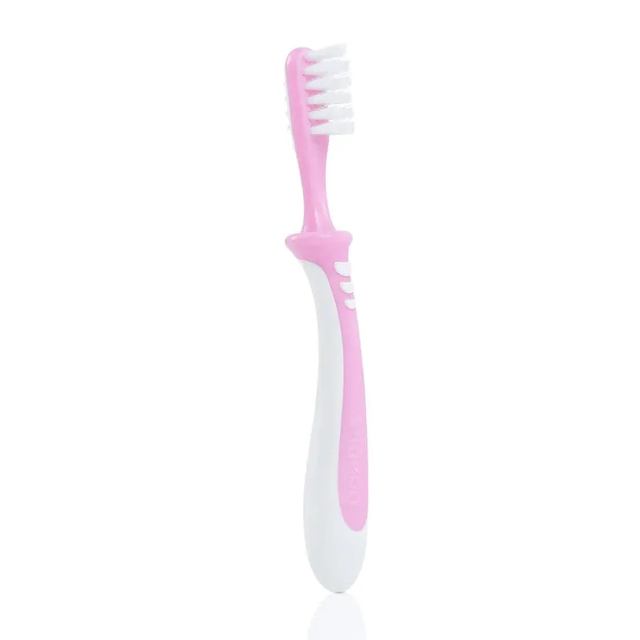 Pigeon Training Tooth Brush Lesson-3 (Pink)