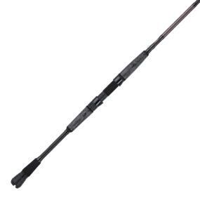 Prevail II Inshore Spinning - Penn