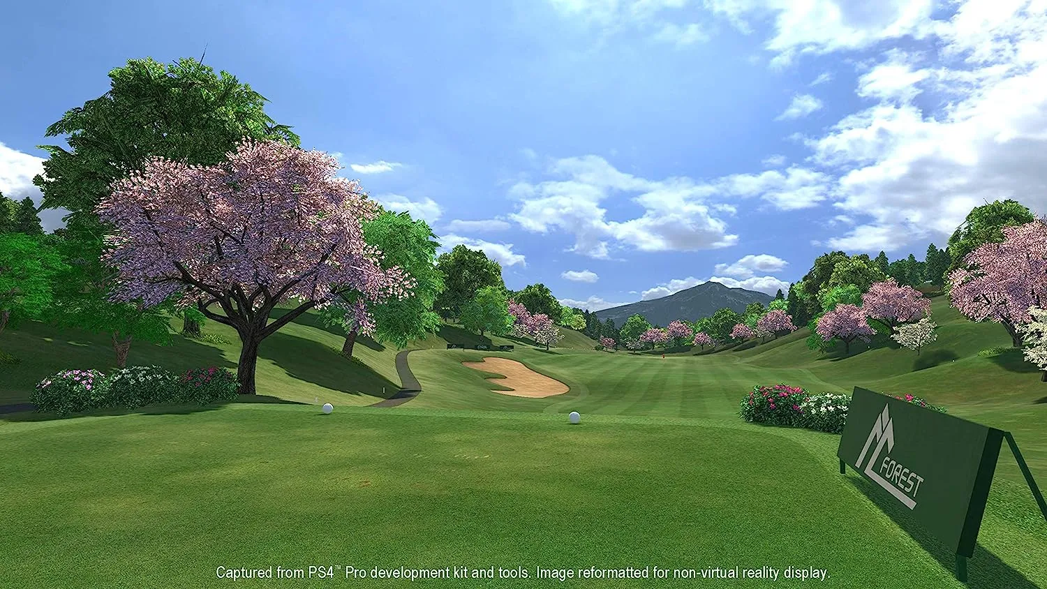 PS4 Everybody's Golf VR (R2)