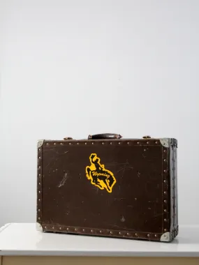 vintage Wyoming metal case